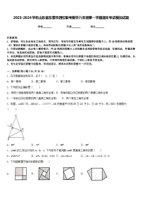 2023-2024学年山东省东营市四校联考数学八年级第一学期期末考试模拟试题含答案