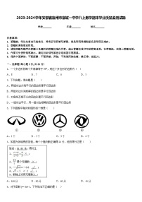 2023-2024学年安徽省宿州市宿城一中学八上数学期末学业质量监测试题含答案