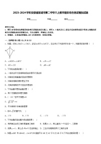 2023-2024学年安徽省宣城市第二中学八上数学期末综合测试模拟试题含答案