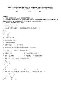 2023-2024学年山东省东平县实验中学数学八上期末达标检测模拟试题含答案