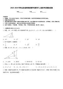 2023-2024学年山东省单县启智学校数学八上期末考试模拟试题含答案