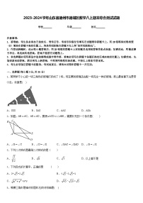 2023-2024学年山东省德州市德城区数学八上期末综合测试试题含答案