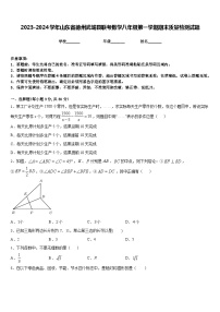 2023-2024学年山东省德州武城县联考数学八年级第一学期期末质量检测试题含答案