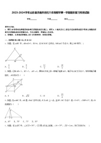 2023-2024学年山东省济南市名校八年级数学第一学期期末复习检测试题含答案