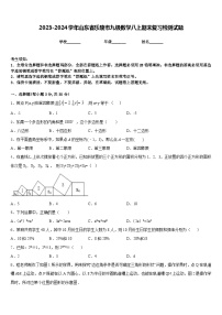 2023-2024学年山东省乐陵市九级数学八上期末复习检测试题含答案