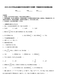 2023-2024学年山东省临沂市河东区数学八年级第一学期期末综合测试模拟试题含答案