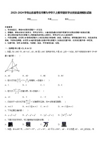 2023-2024学年山东省枣庄市第九中学八上数学期末学业质量监测模拟试题含答案