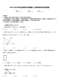 2023-2024学年山东省枣庄市薛城区八上数学期末综合测试试题含答案