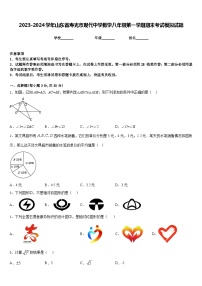 2023-2024学年山东省寿光市现代中学数学八年级第一学期期末考试模拟试题含答案