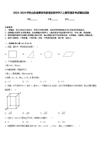 2023-2024学年山东省泰安市新城实验中学八上数学期末考试模拟试题含答案