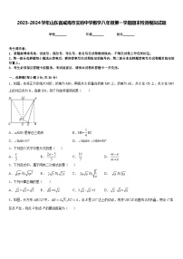 2023-2024学年山东省威海市实验中学数学八年级第一学期期末检测模拟试题含答案