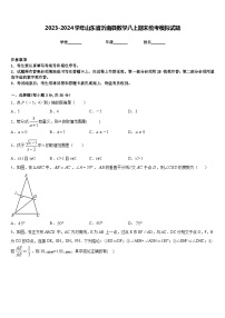 2023-2024学年山东省沂南县数学八上期末统考模拟试题含答案