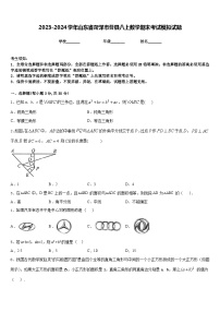 2023-2024学年山东省菏泽市曹县八上数学期末考试模拟试题含答案