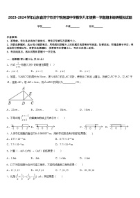 2023-2024学年山东省济宁市济宁院附属中学数学八年级第一学期期末调研模拟试题含答案