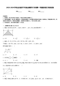 2023-2024学年山东省济宁市梁山县数学八年级第一学期期末复习检测试题含答案