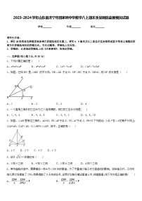 2023-2024学年山东省济宁市田家炳中学数学八上期末质量跟踪监视模拟试题含答案