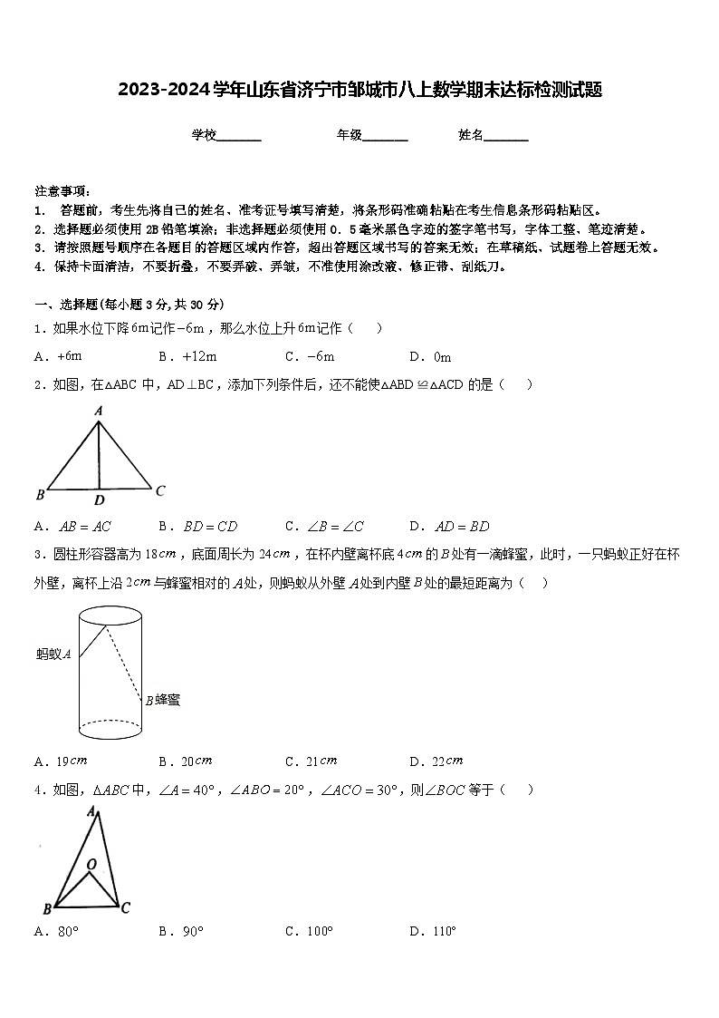 2023-2024学年山东省济宁市邹城市八上数学期末达标检测试题含答案01
