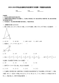 2023-2024学年山东省莱芜市名校数学八年级第一学期期末监测试题含答案