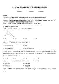 2023-2024学年山东省聊城市八上数学期末质量检测试题含答案