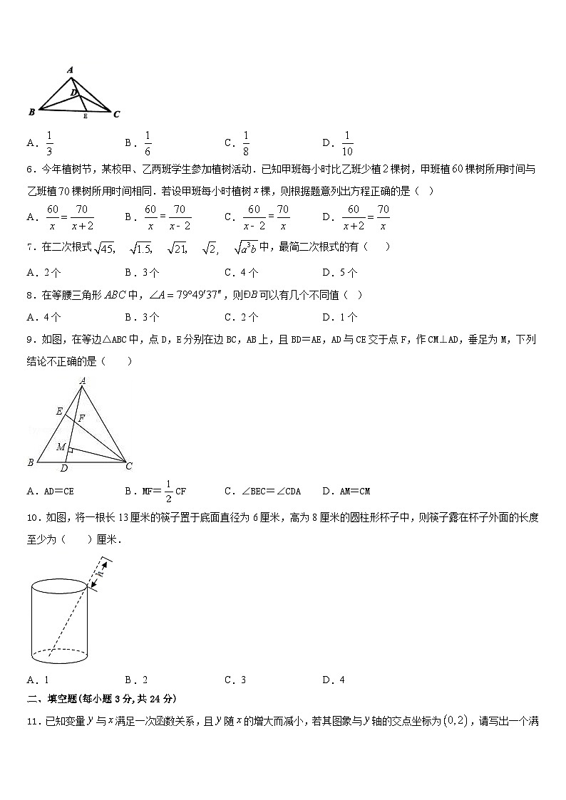 2023-2024学年山东省聊城市八上数学期末质量检测试题含答案02