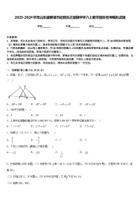 2023-2024学年山东省聊城市冠县东古城镇中学八上数学期末统考模拟试题含答案