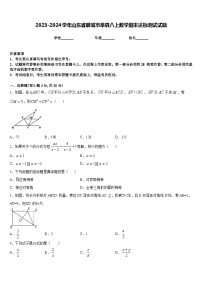 2023-2024学年山东省聊城市莘县八上数学期末达标测试试题含答案