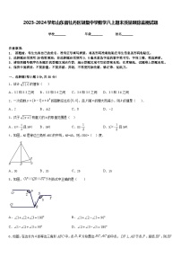 2023-2024学年山东省牡丹区胡集中学数学八上期末质量跟踪监视试题含答案