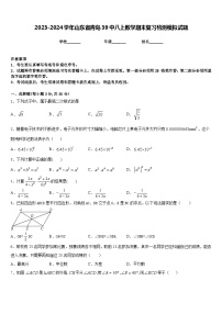 2023-2024学年山东省青岛39中八上数学期末复习检测模拟试题含答案