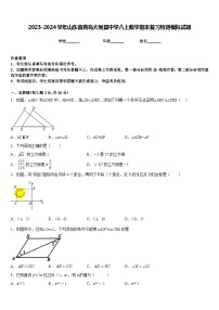 2023-2024学年山东省青岛大附属中学八上数学期末复习检测模拟试题含答案