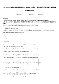 2023-2024学年山东省青岛胶州市、黄岛区、平度区、李沧区数学八年级第一学期期末经典模拟试题含答案