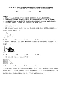 2023-2024学年山东省青岛市即墨区数学八上期末学业质量监测试题含答案