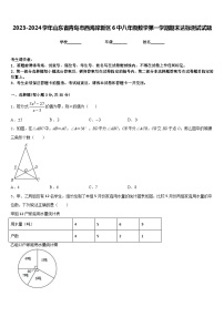 2023-2024学年山东省青岛市西海岸新区6中八年级数学第一学期期末达标测试试题含答案