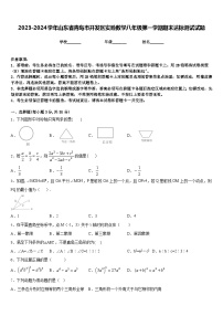 2023-2024学年山东省青岛市开发区实验数学八年级第一学期期末达标测试试题含答案