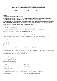 2023-2024学年山东省重点中学八上数学期末预测试题含答案