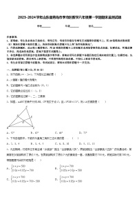 2023-2024学年山东省青岛市李沧区数学八年级第一学期期末监测试题含答案