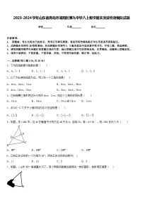 2023-2024学年山东省青岛市城阳区第九中学八上数学期末质量检测模拟试题含答案