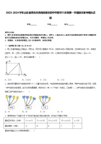 2023-2024学年山东省青岛市西海岸新区四中学数学八年级第一学期期末联考模拟试题含答案