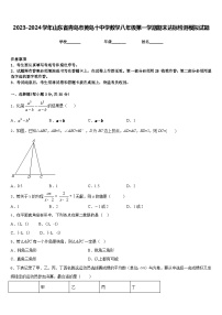 2023-2024学年山东省青岛市黄岛十中学数学八年级第一学期期末达标检测模拟试题含答案