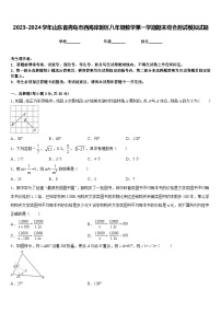 2023-2024学年山东省青岛市西海岸新区八年级数学第一学期期末综合测试模拟试题含答案