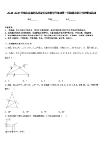 2023-2024学年山东省青岛开发区实验数学八年级第一学期期末复习检测模拟试题含答案