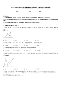 2023-2024学年山东省滕州市张汪中学八上数学期末统考试题含答案