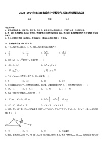 2023-2024学年山东省重点中学数学八上期末检测模拟试题含答案