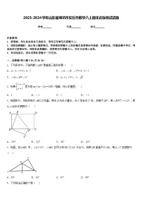 2023-2024学年山东省潍坊市安丘市数学八上期末达标测试试题含答案