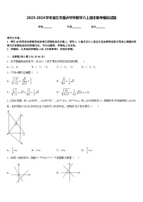 2023-2024学年崇左市重点中学数学八上期末联考模拟试题含答案