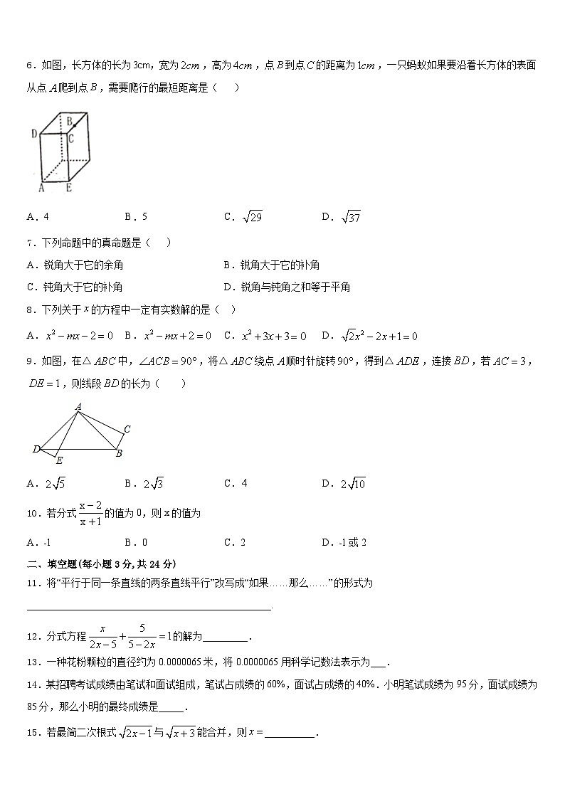 2023-2024学年广东省北京师范大广州实验学校八上数学期末质量检测模拟试题含答案02