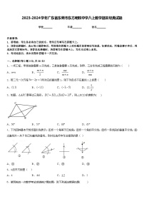 2023-2024学年广东省东莞市东方明珠中学八上数学期末经典试题含答案