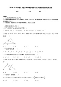 2023-2024学年广东省东莞市寮步宏伟中学八上数学期末经典试题含答案