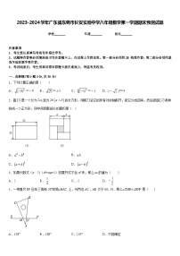 2023-2024学年广东省东莞市长安实验中学八年级数学第一学期期末预测试题含答案