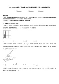 2023-2024学年广东省佛山市六峰中学数学八上期末检测模拟试题含答案