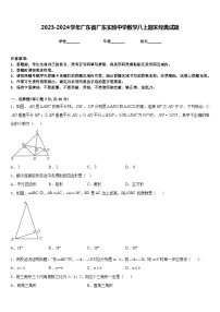 2023-2024学年广东省广东实验中学数学八上期末经典试题含答案